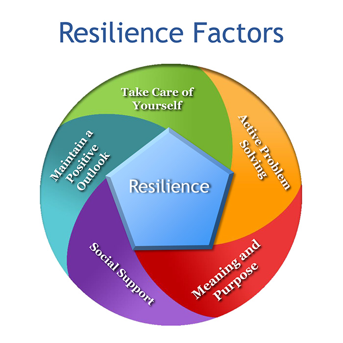 Image result for resiliance